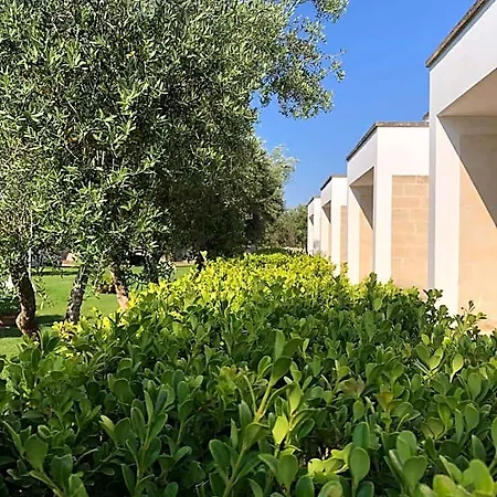 Otus Hotel